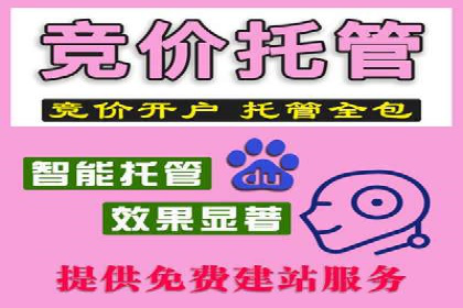 SEM广告的精准定向技巧与成功案例解析